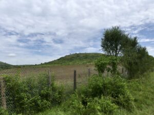IMG_0235